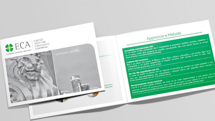 ECA Consulting - Brochure