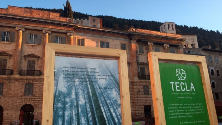 Tecla - soluzione costruttive in legno - pista di pattinaggio