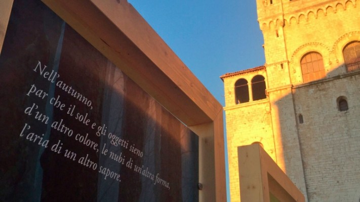 Tecla - soluzione costruttive in legno - pista di pattinaggio