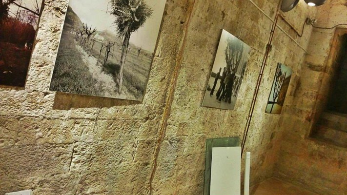 14705740_1135173273263496_7457692815239506440_n