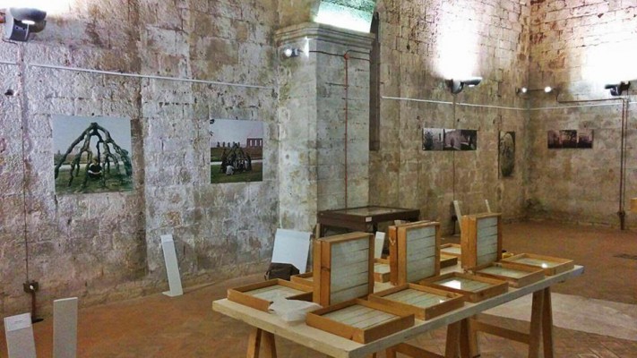 14725515_1135173016596855_6675777166274059526_n